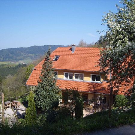 Langenberghof Apartman Oberharmersbach Kültér fotó