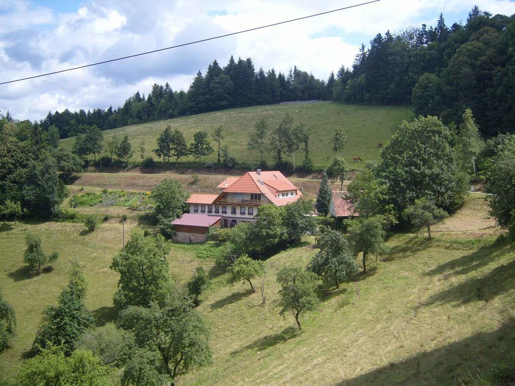 Langenberghof Apartman Oberharmersbach Kültér fotó