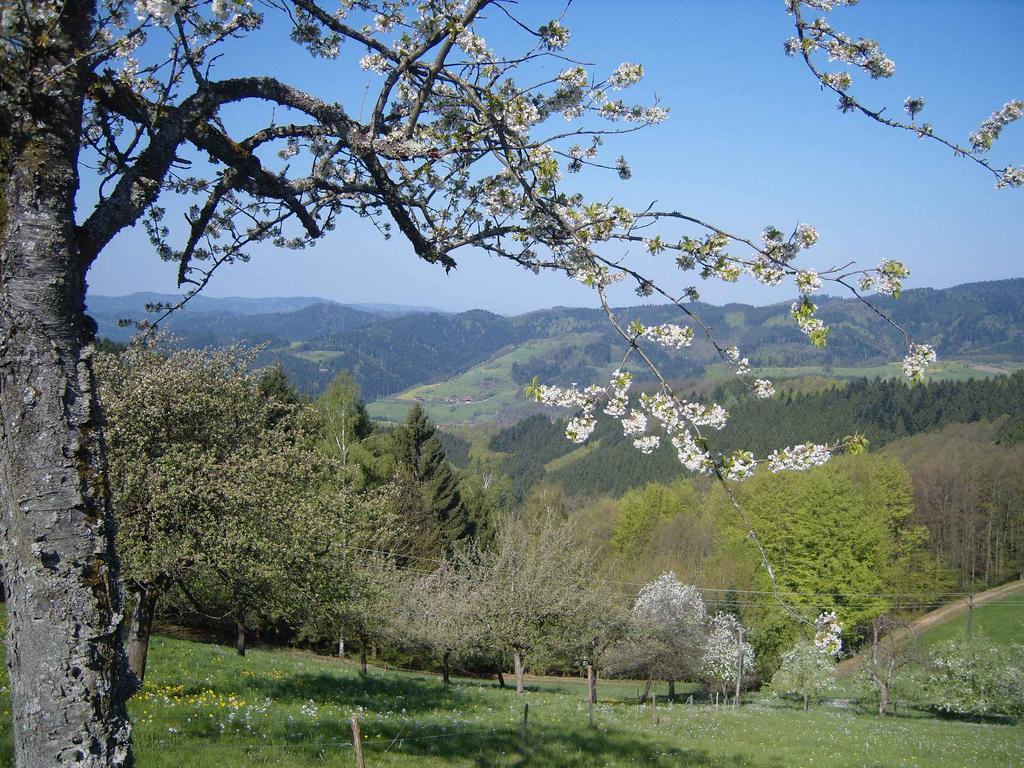 Langenberghof Apartman Oberharmersbach Kültér fotó