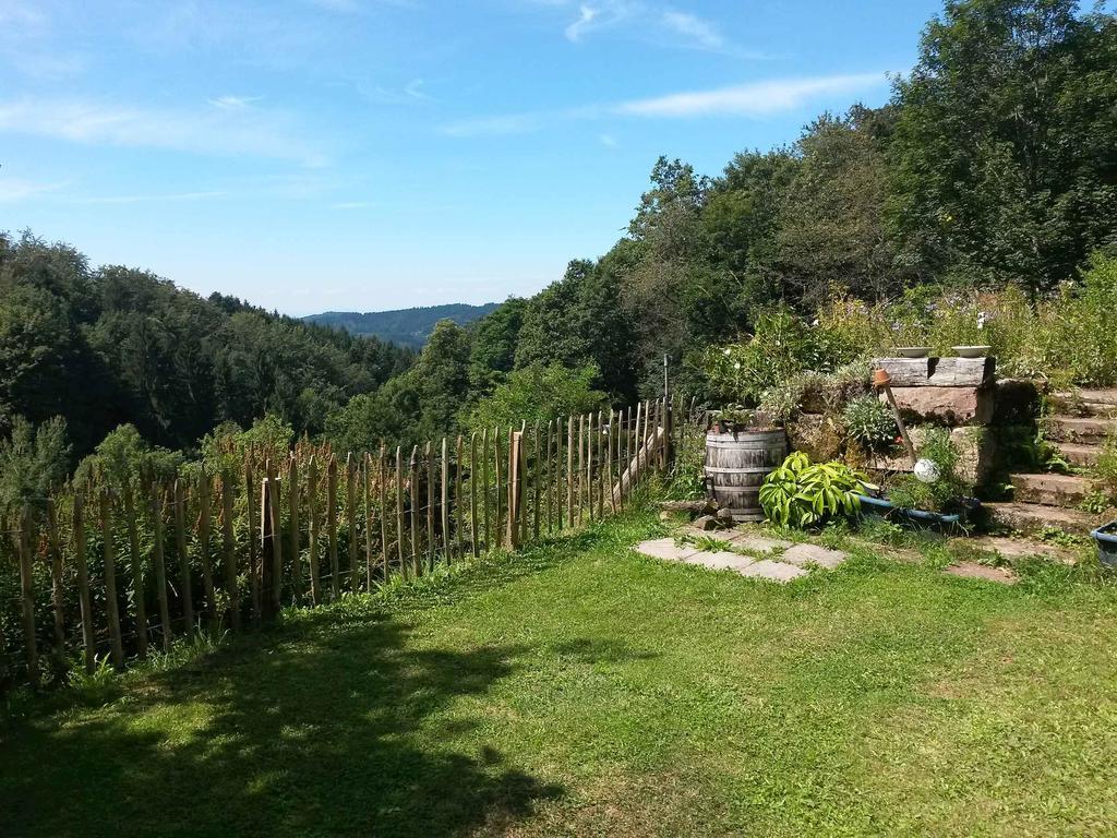 Langenberghof Apartman Oberharmersbach Kültér fotó