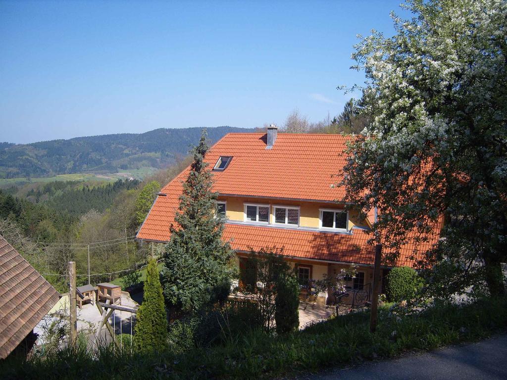 Langenberghof Apartman Oberharmersbach Kültér fotó