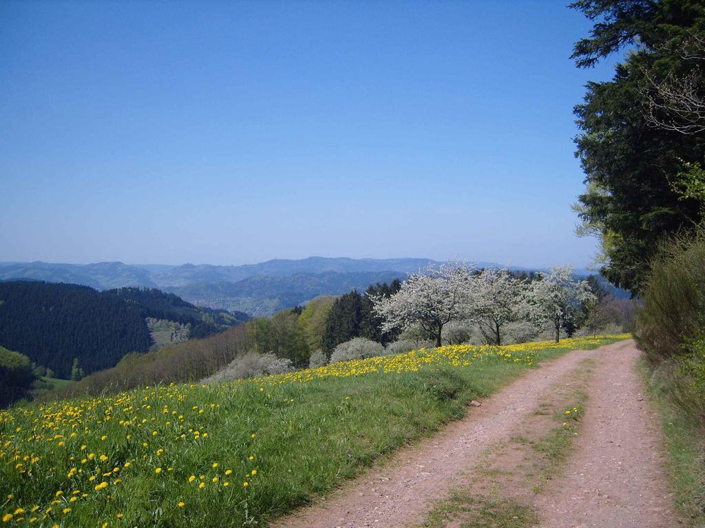 Langenberghof Apartman Oberharmersbach Kültér fotó