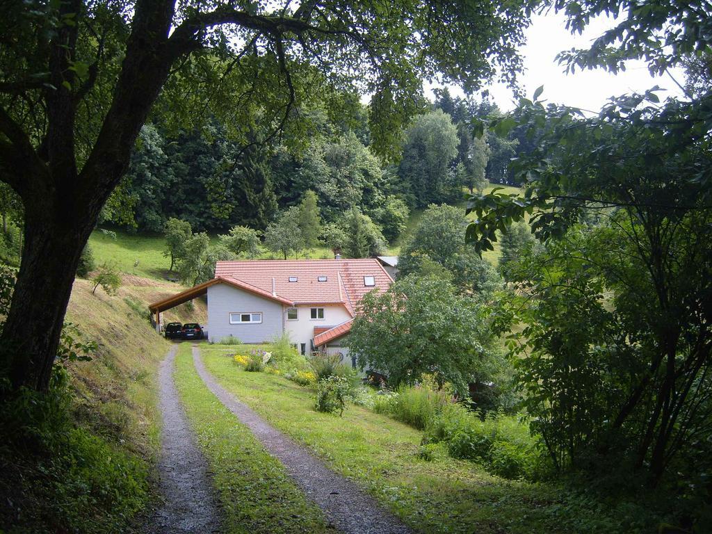 Langenberghof Apartman Oberharmersbach Kültér fotó