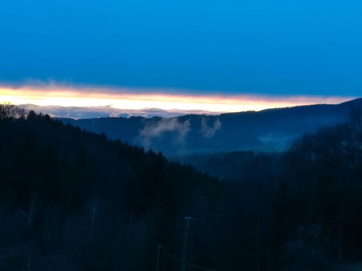 Langenberghof Apartman Oberharmersbach Kültér fotó