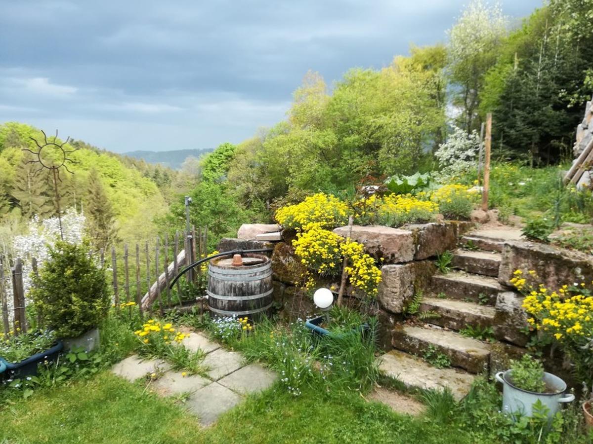 Langenberghof Apartman Oberharmersbach Kültér fotó