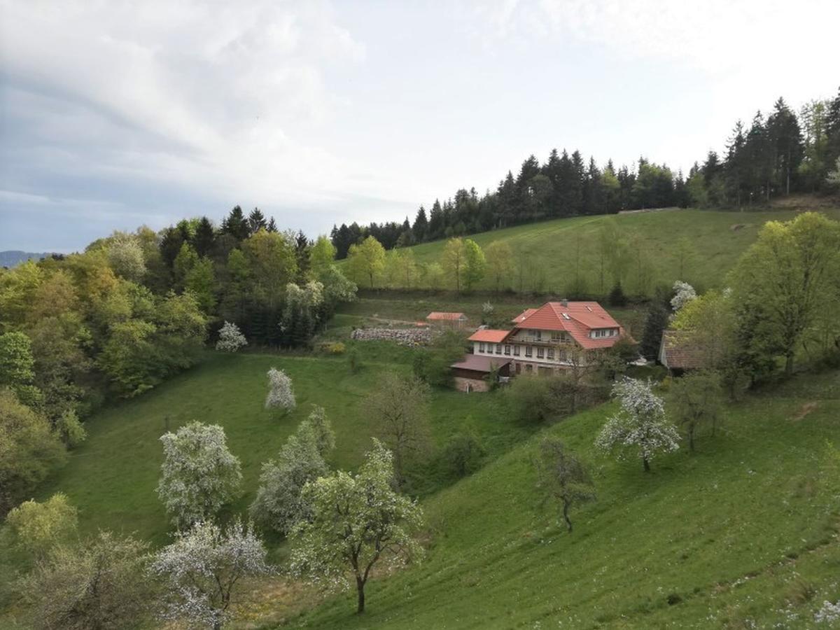 Langenberghof Apartman Oberharmersbach Kültér fotó