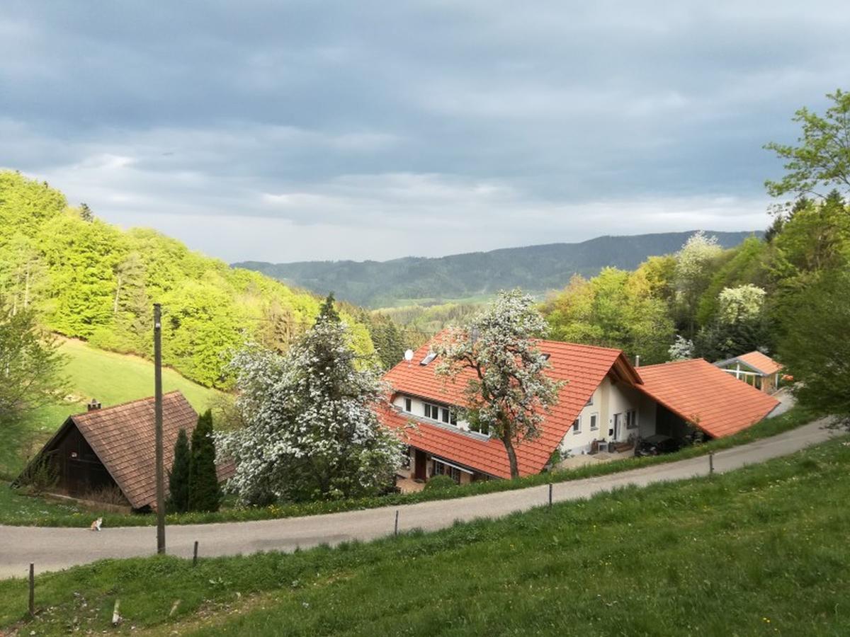 Langenberghof Apartman Oberharmersbach Kültér fotó