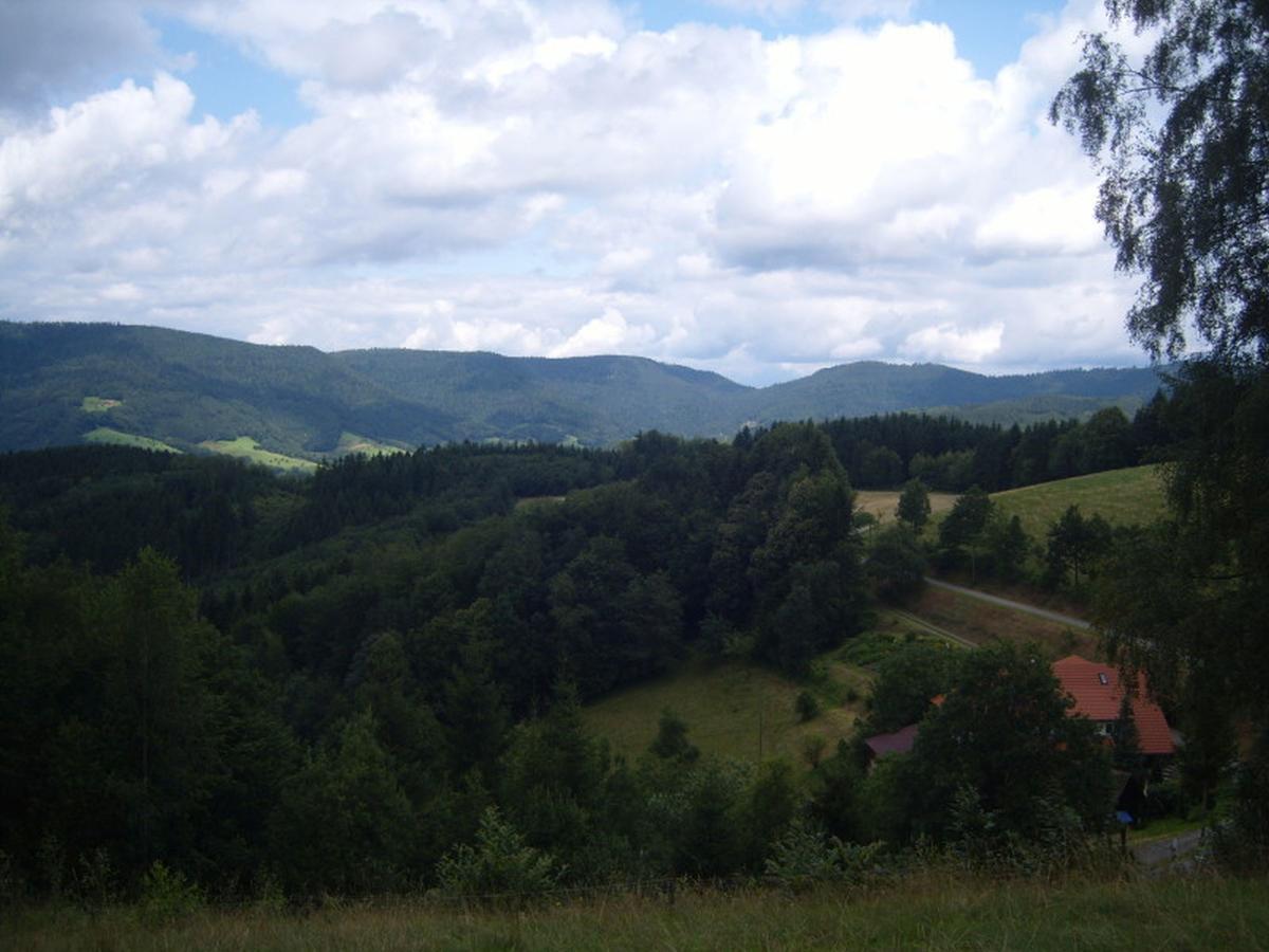 Langenberghof Apartman Oberharmersbach Kültér fotó