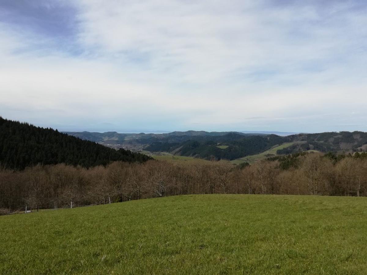 Langenberghof Apartman Oberharmersbach Kültér fotó