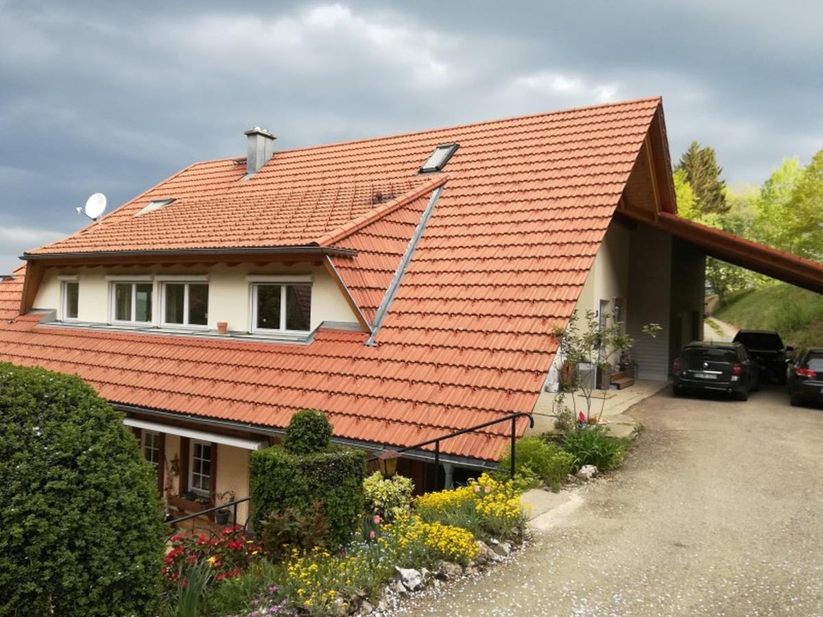 Langenberghof Apartman Oberharmersbach Kültér fotó