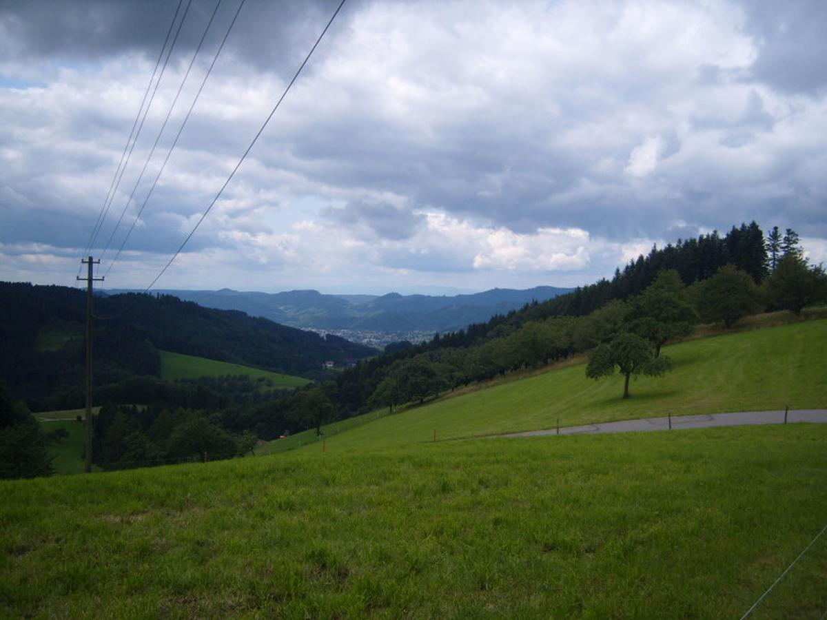 Langenberghof Apartman Oberharmersbach Kültér fotó